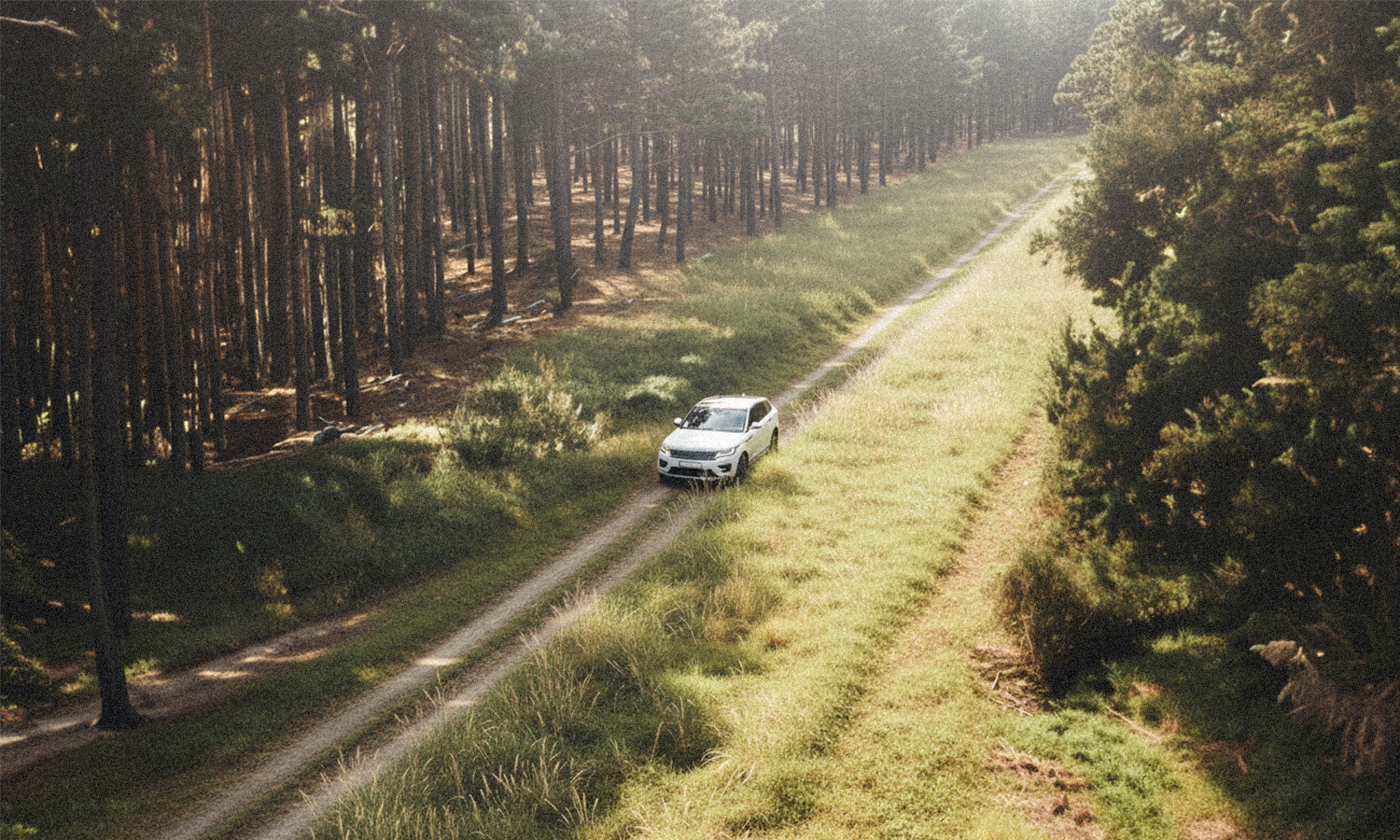 A white car driving on a dirt road through a forest